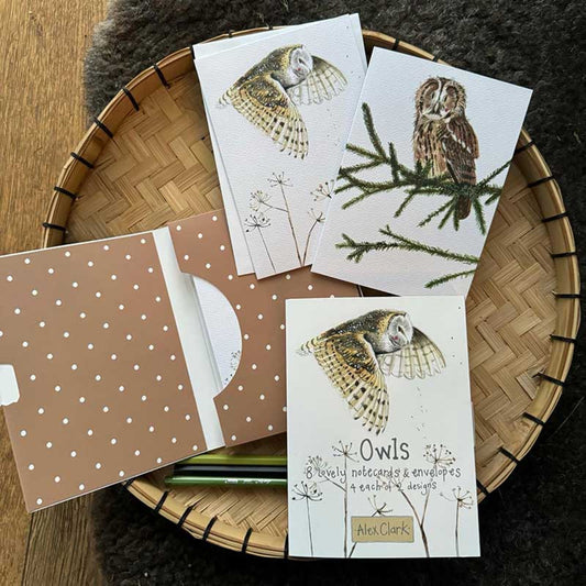 Owls Boxed Notecards