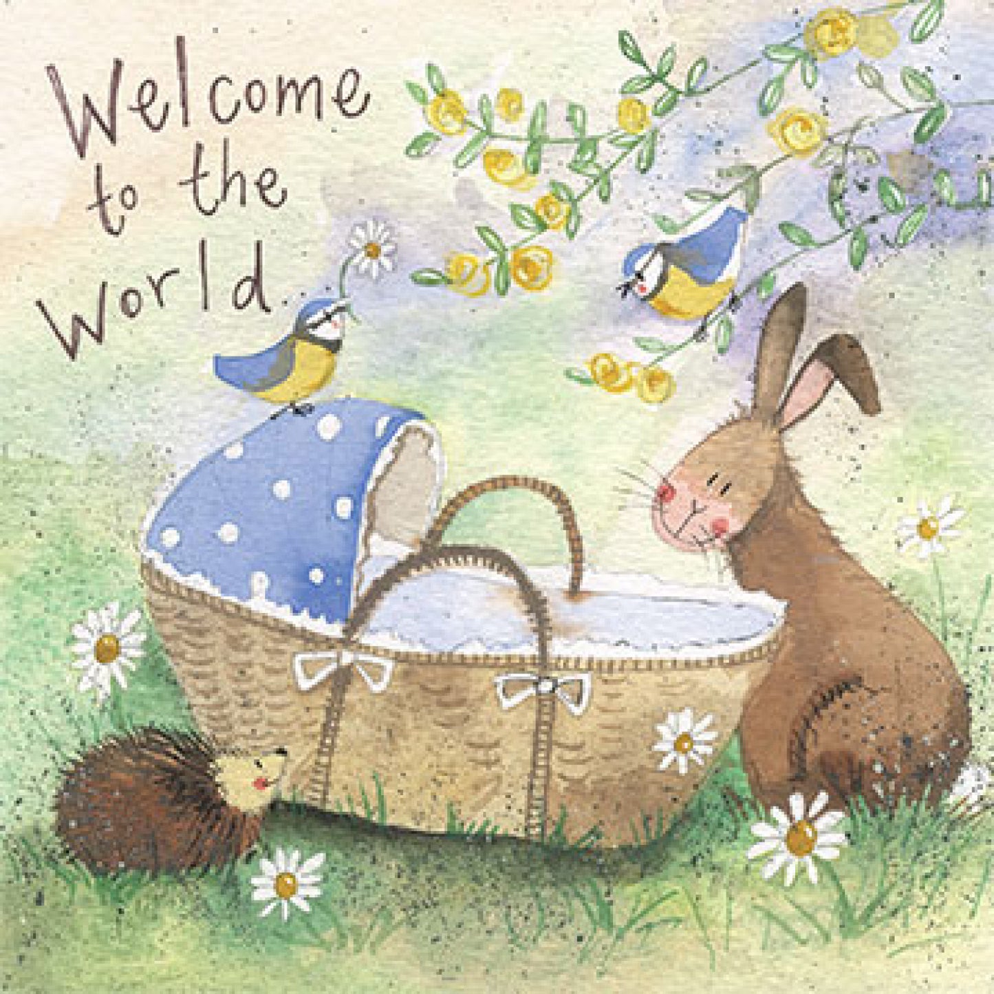 Welcome New Baby Bunny Card