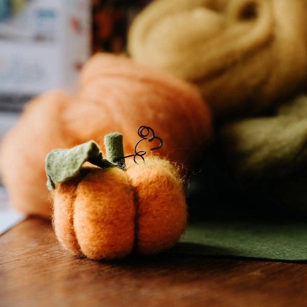 Woolly Pumpkins Needle Felting Craft Kit