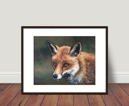 Fox - Limited Edition Print