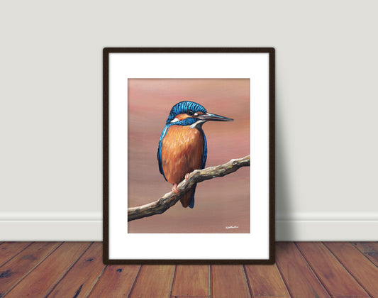 Kingfisher Limited Edition Print