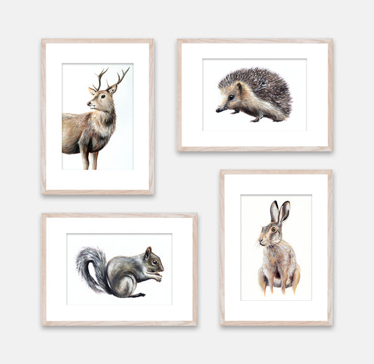 Set of 4 Wildlife Prints II