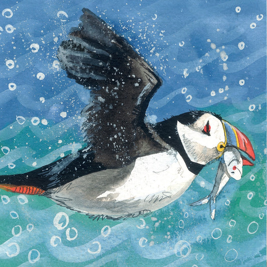 Puffin Card