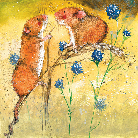 Harvest Mice Card