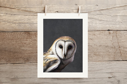 Barn Owl Limited Edition Giclee Print