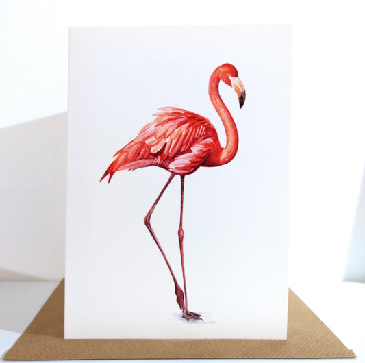 Flamingo Greeting Card