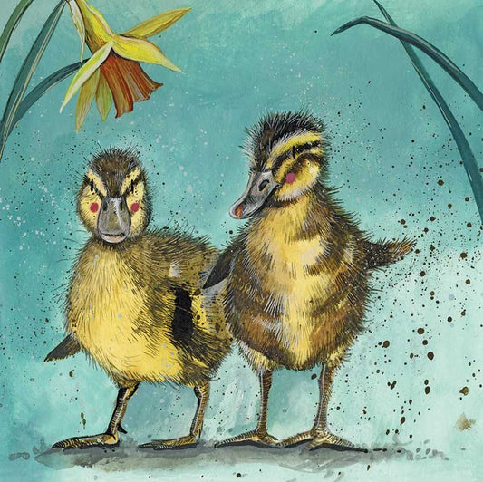 Ducklings Greetings Card