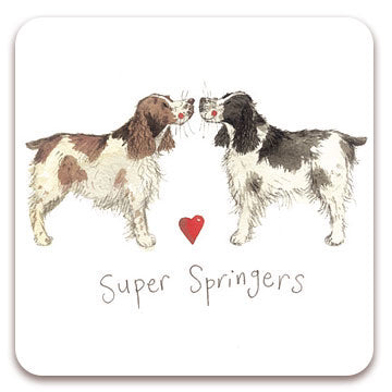 Super Springers Coaster