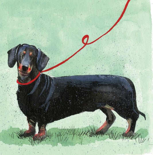 Dachshund Dog Blank Card