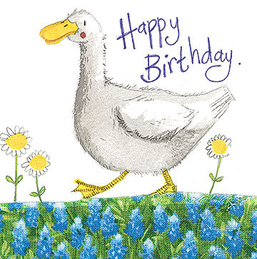 Birthday Duck Greeting Card