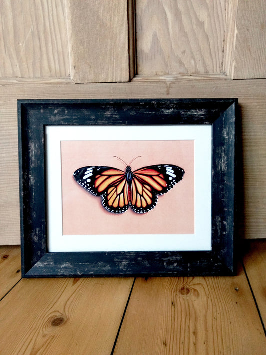 Monarch Butterfly Print