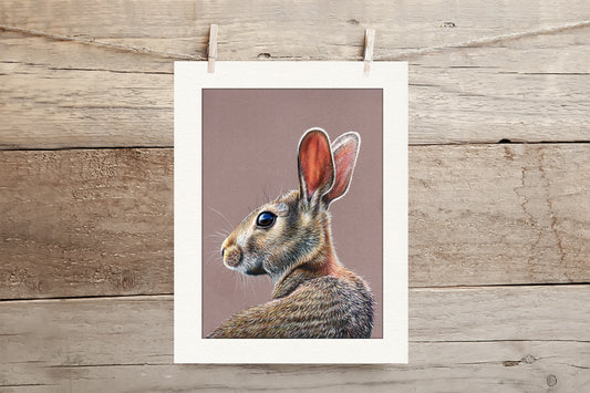 Hare Limited Edition Giclee Print